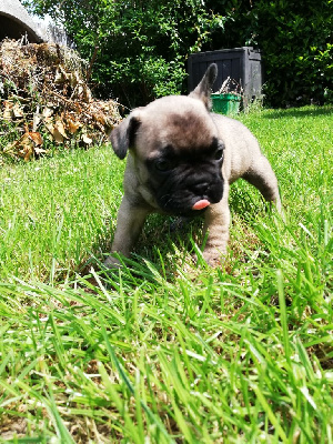 Tina (nom provisoire)